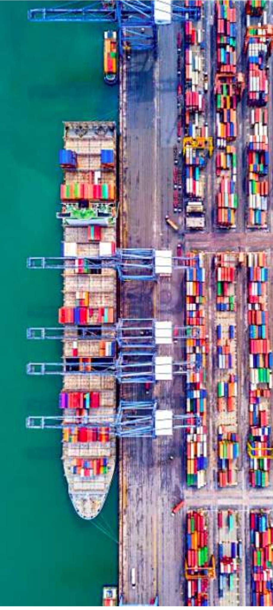 1.001 Buy $100 nodes